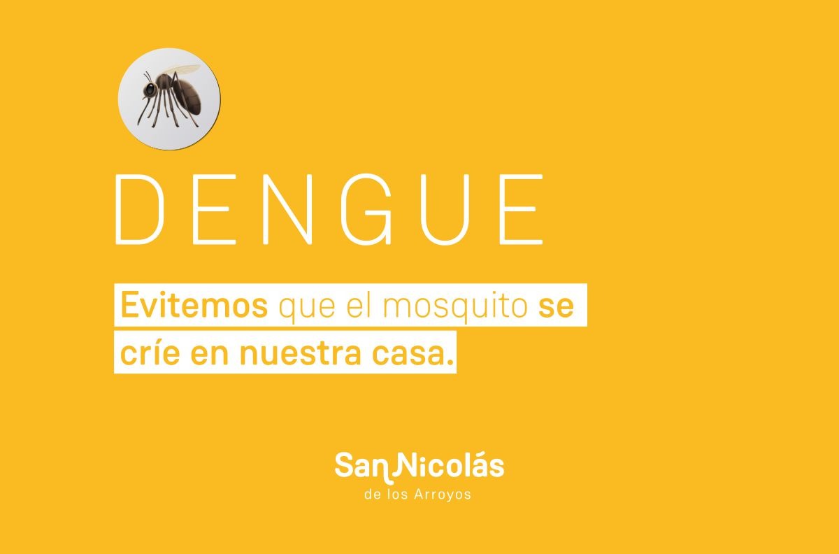 Lee más sobre el artículo Medidas para combatir el dengue