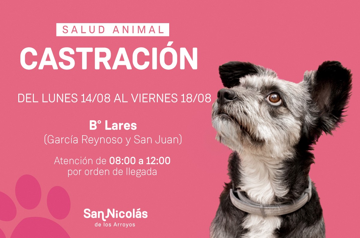 Lee más sobre el artículo El trailer de castración estará en Barrio Lares