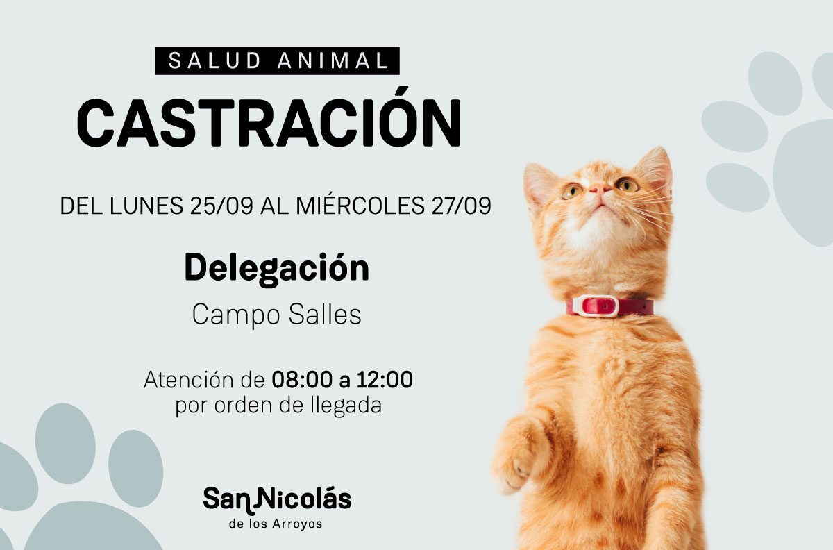 Lee más sobre el artículo El trailer de castración atiende en Campos Salles