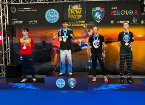 Lee más sobre el artículo Destacada participación de nicoleños en Kickboxing