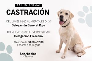 Lee más sobre el artículo El Trailer de Castración atenderá en General Rojo y Erézcano