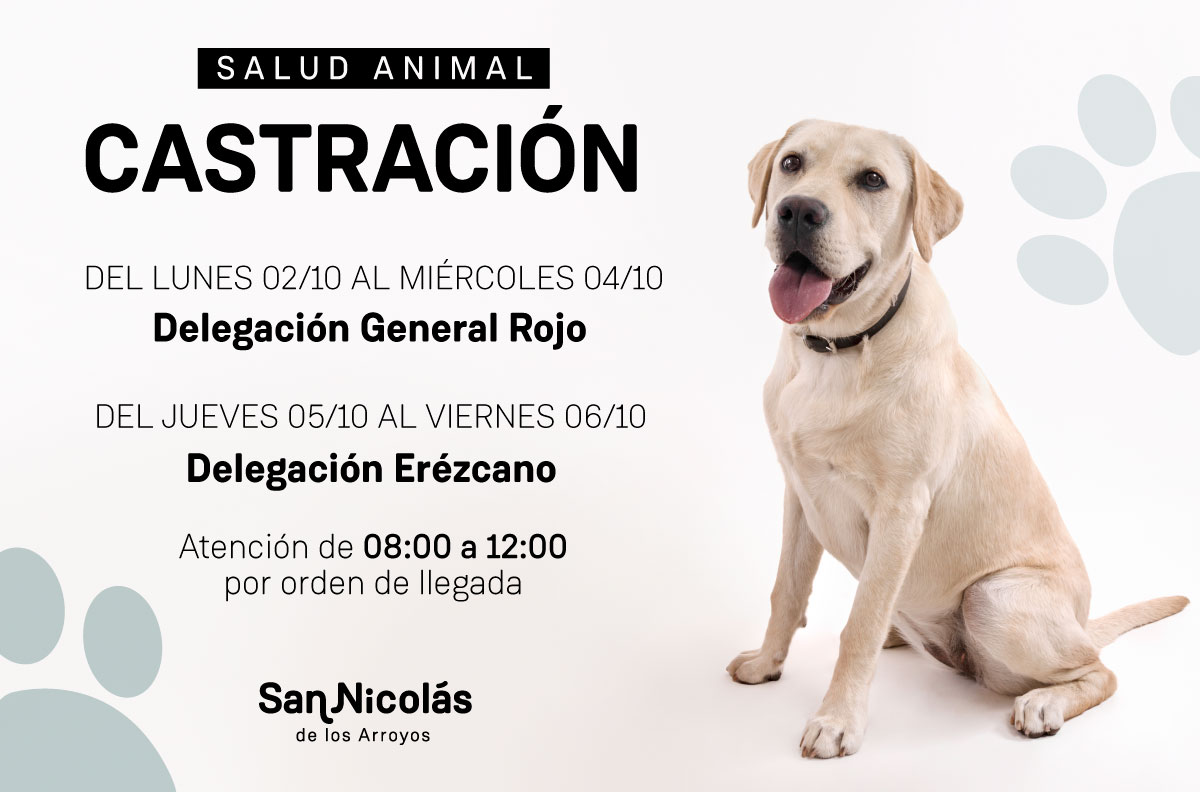 Lee más sobre el artículo El Trailer de Castración atenderá en General Rojo y Erézcano