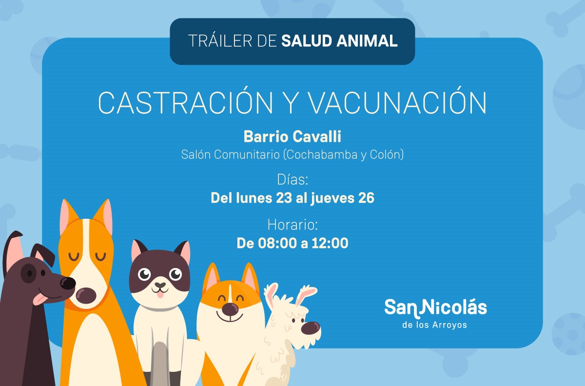 Lee más sobre el artículo Castración y vacunación en Barrio Cavalli