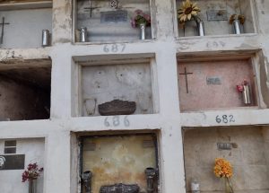 Lee más sobre el artículo Denuncian el robo de flores en anexo del Cementerio