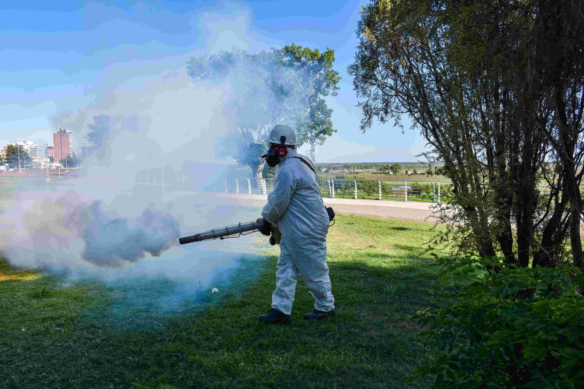 Lee más sobre el artículo Por fin: el municipio comenzó a fumigar en espacios públicos