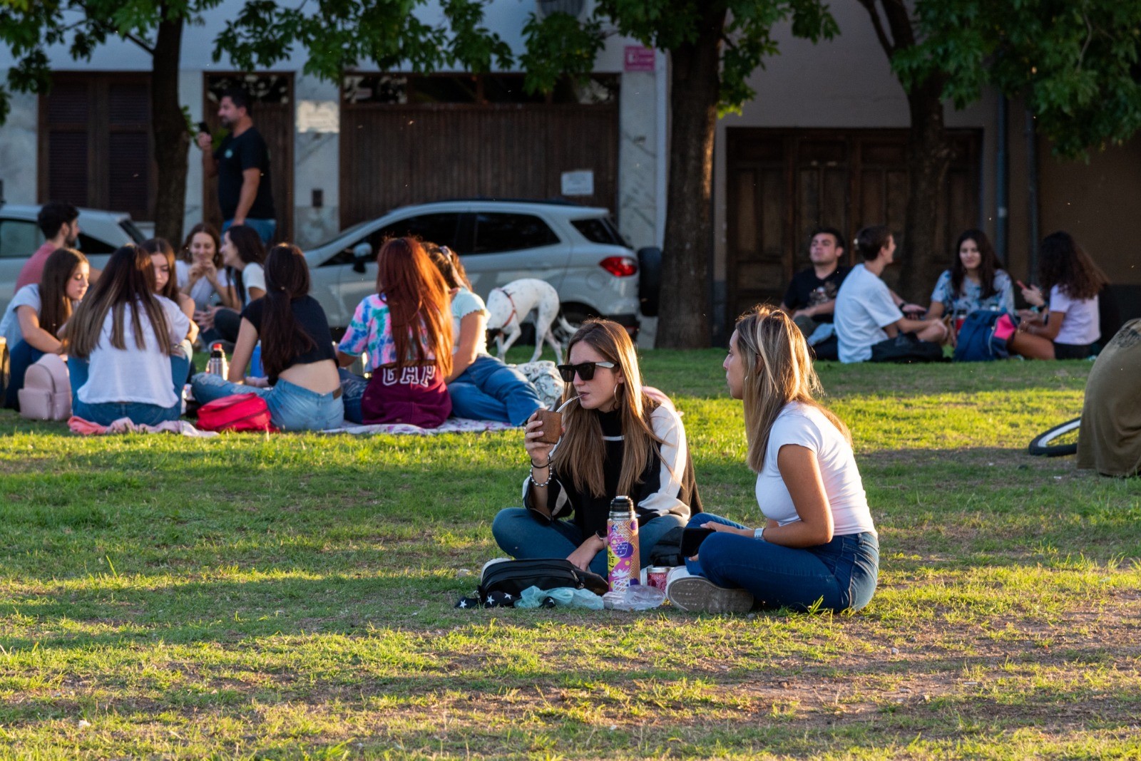 Lee más sobre el artículo Hay que fumigar, además de cuidar los espacios públicos…