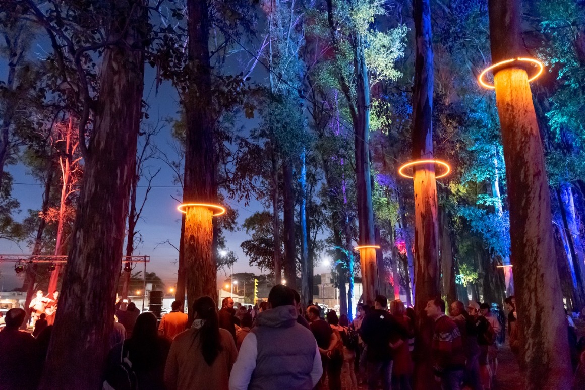 Lee más sobre el artículo Fueron a la fiesta de Halloween, los vieron y los detuvieron por robo