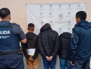 Lee más sobre el artículo Tres adolescentes detenidos por robar cables