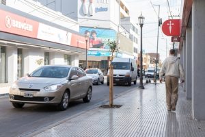 Lee más sobre el artículo Allanamientos y un detenido por el millonario robo al comercio Bringeri
