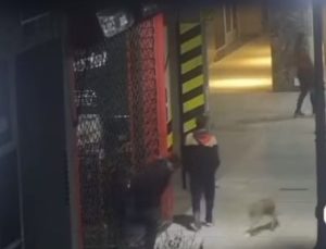 Lee más sobre el artículo Robaron en un comercio de Nación y Olleros