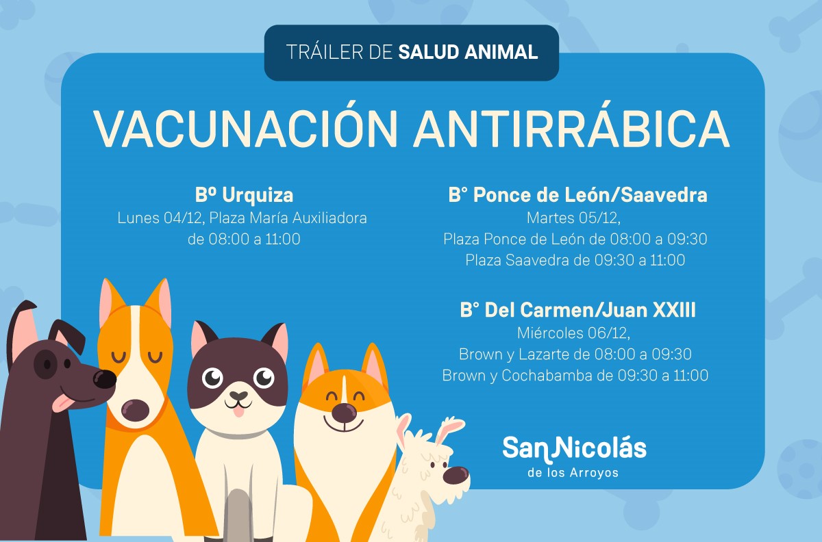 Lee más sobre el artículo Vacunación antirrábica en barrios de la ciudad