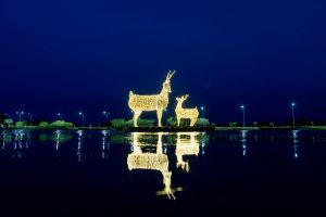 Lee más sobre el artículo El espíritu navideño llegó a San Nicolás