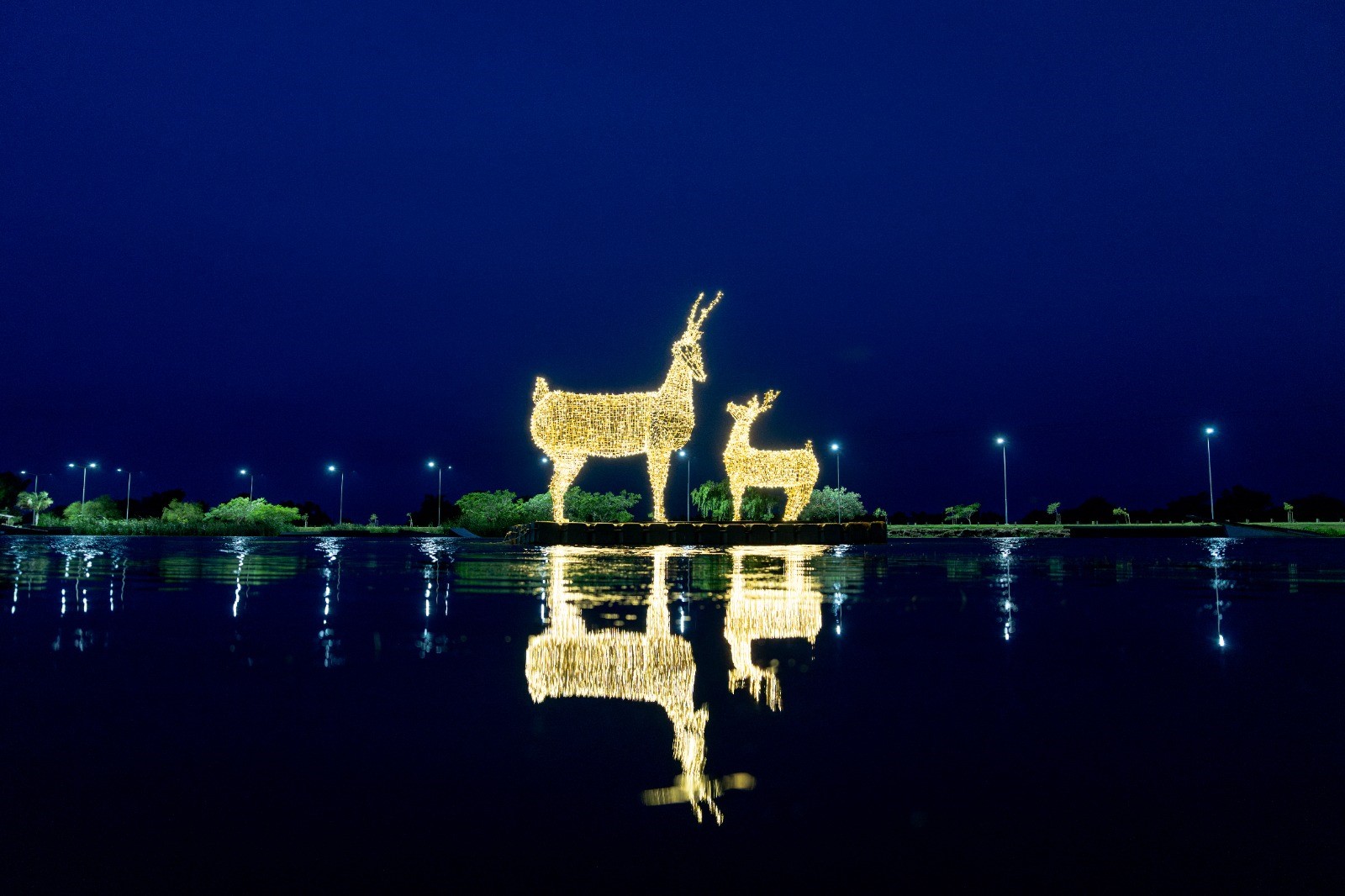 Lee más sobre el artículo El espíritu navideño llegó a San Nicolás