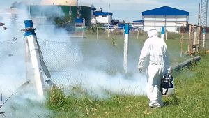 Lee más sobre el artículo La Municipalidad de Ramallo fumiga para combatir el dengue