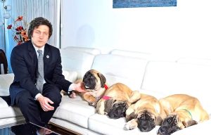 Lee más sobre el artículo Los perros de Milei tendrán aire acondicionado en la Quinta de Olivos