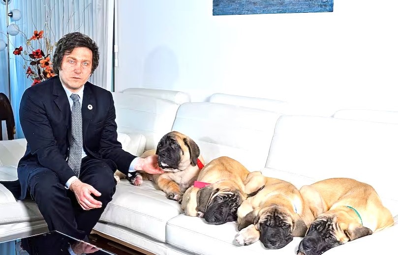 Lee más sobre el artículo Los perros de Milei tendrán aire acondicionado en la Quinta de Olivos