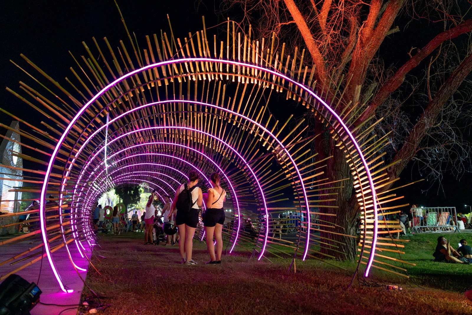 Lee más sobre el artículo Hoy, tercera noche de «Picnic bajo las Estrellas»