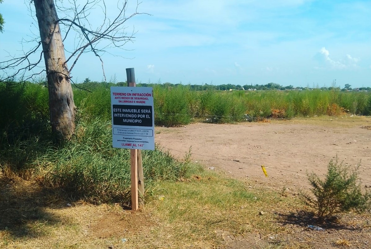 Lee más sobre el artículo El municipio continúa controlando terrenos baldíos y abandonados