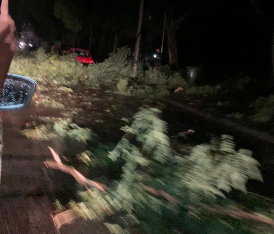 Lee más sobre el artículo Toda San Nicolás se quedó sin luz y el viento ocasionó graves destrozos