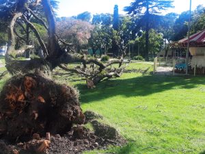 Lee más sobre el artículo El temporal causó grandes destrozos y hay numerosos heridos en San Nicolás