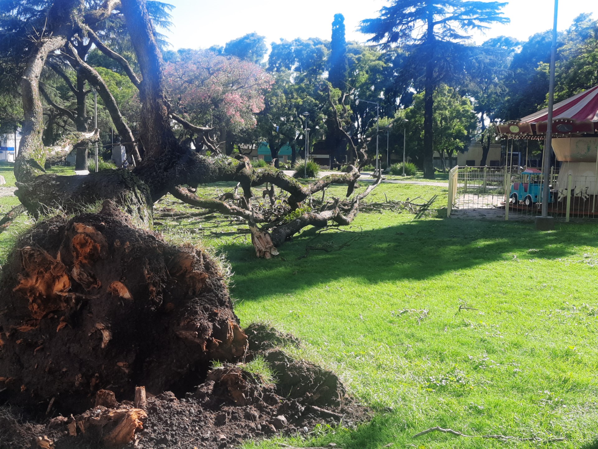 Lee más sobre el artículo El temporal causó grandes destrozos y hay numerosos heridos en San Nicolás