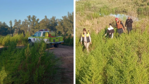 Lee más sobre el artículo Buscan a un hombre que se arrojó al Arroyo del Medio