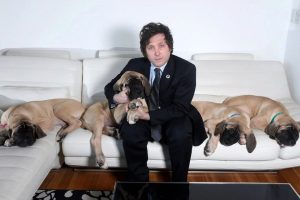 Lee más sobre el artículo Javier Milei, los perros y su declaración de bienes