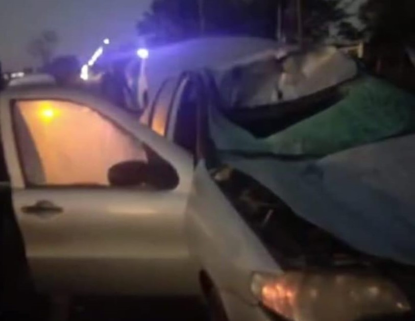 Lee más sobre el artículo Embistió un caballo y terminó internado en el hospital