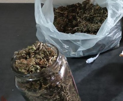 Lee más sobre el artículo Esclarecieron un robo y detuvieron a una mujer tras allanamiento