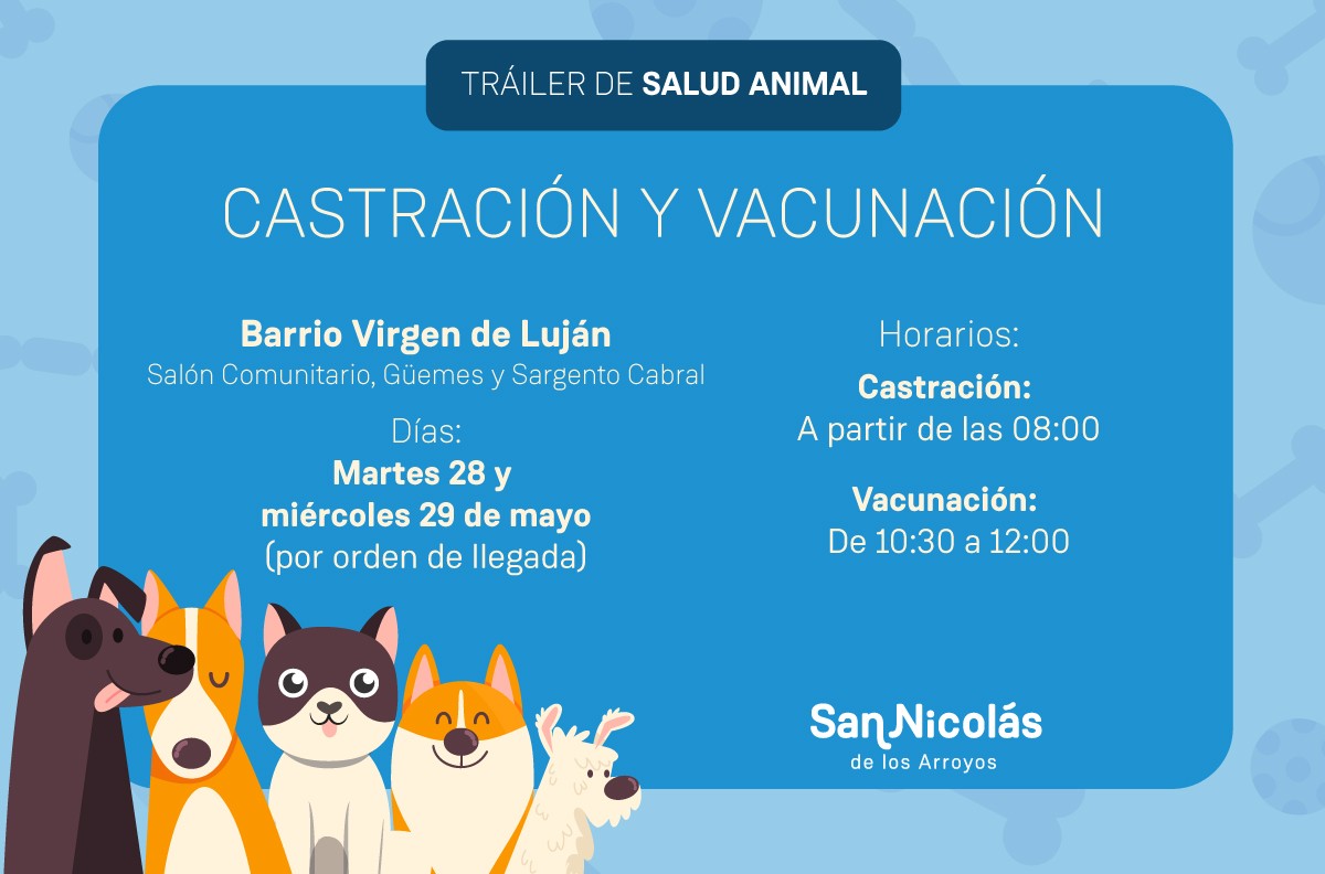 Lee más sobre el artículo Castración y vacunación de mascotas en Barrio Virgen de Luján
