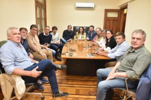 Lee más sobre el artículo Encuentro clave de legisladores nacionales y provinciales alineados con Facundo Manes