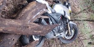 Lee más sobre el artículo Encuentran moto que había sido robada hace un año