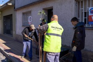 Lee más sobre el artículo Continúa el Plan de Arbolado en nuestra ciudad