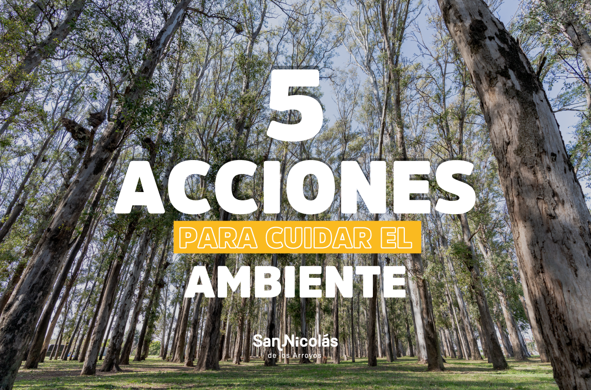 Lee más sobre el artículo El municipio recomienda acciones para cuidar el medio ambiente
