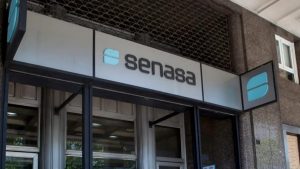 Lee más sobre el artículo Ajuste: cierran la oficina del SENASA en San Nicolás y la fusionan con Ramallo