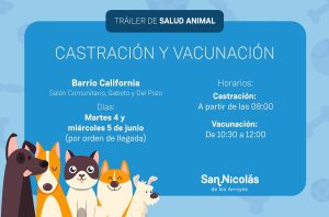 Lee más sobre el artículo Castración y vacunación en Barrio California