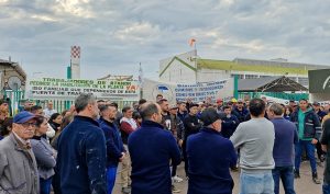 Lee más sobre el artículo Despidieron a 15 trabajadores de la empresa Atanor en San Nicolás