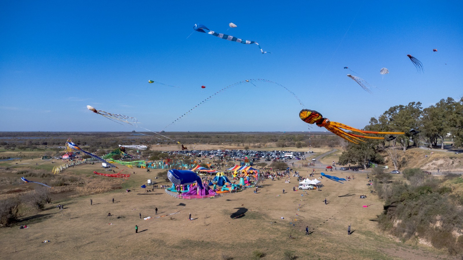 Lee más sobre el artículo Más de 300 mil personas disfrutaron del Festival Río en el Eco-Parque