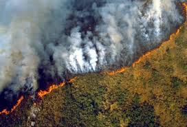 Lee más sobre el artículo Alerta máxima en 30 ciudades del sureste de Brasil por los incendios forestales