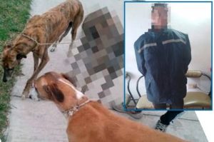 Lee más sobre el artículo Ola de robos: no se salvan ni los perros