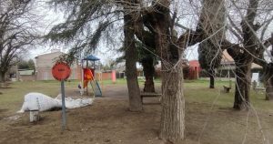 Lee más sobre el artículo Conmoción en Ramallo por el suicidio de un adolescente de 15 años