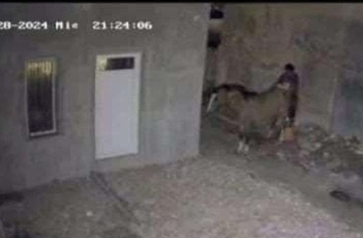 Lee más sobre el artículo Difunden video con aberrante hecho de zoofilia en Villa Ramallo