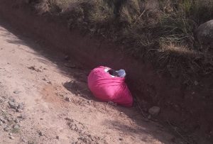 Lee más sobre el artículo Exclusivo: hallaron en una bolsa el cuerpo de una mujer, y podría ser la joven desaparecida