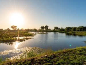 Lee más sobre el artículo Una pareja de adolescentes fue asaltada en el Eco-Parque