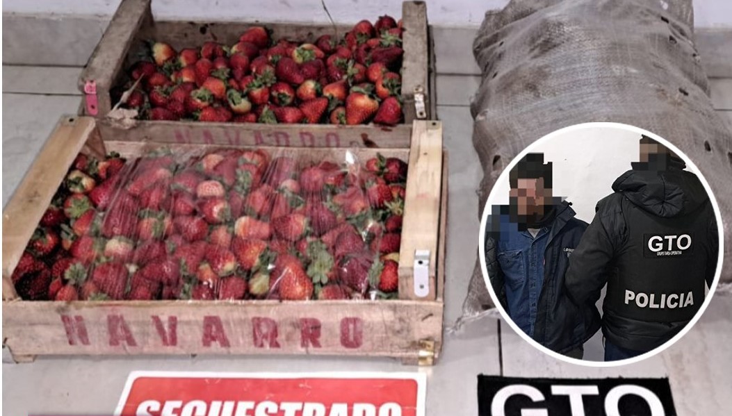 Lee más sobre el artículo ¡Qué miseria, Che…! Lo detuvieron por robar frutillas y papas