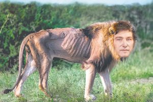 Lee más sobre el artículo Javier Milei: un León creando pobres