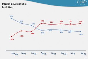 Lee más sobre el artículo A nueve meses de gobierno, la imagen de Milei baja en un tobogán de caída constante
