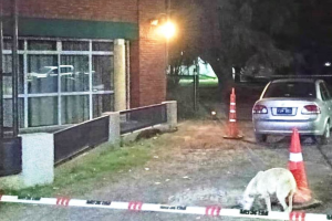 Lee más sobre el artículo Peligroso delincuente herido tras un fallido intento de asalto en Empalme Villa Constitución