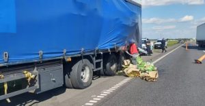 Lee más sobre el artículo Accidente y demoras en la Autopista, a la altura de Ramallo