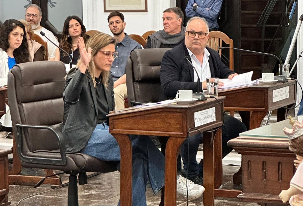 Lee más sobre el artículo Concejales de Unión por la Patria proponen medidas para combatir la inseguridad